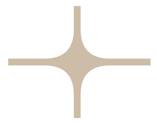 vector de estrella de color arena parte del sistema visual de siavo